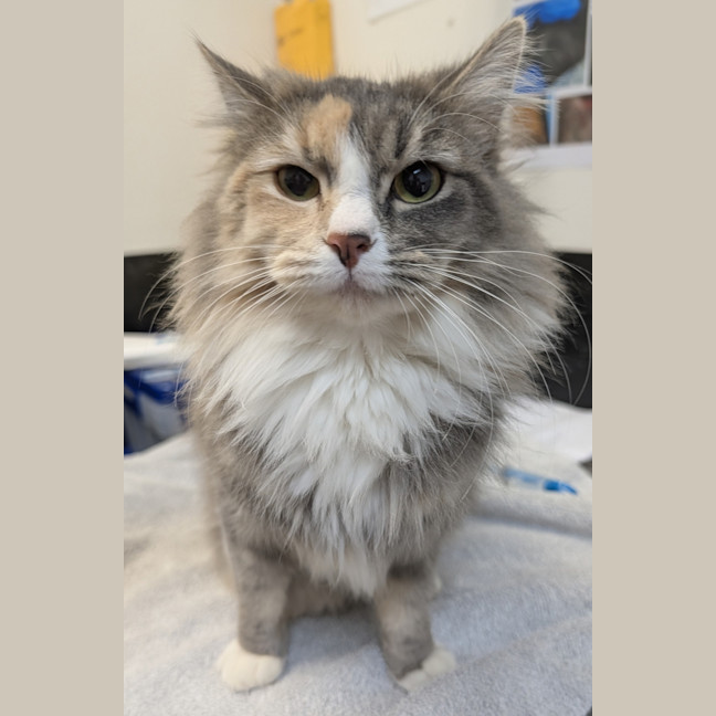 Photo of Peggy