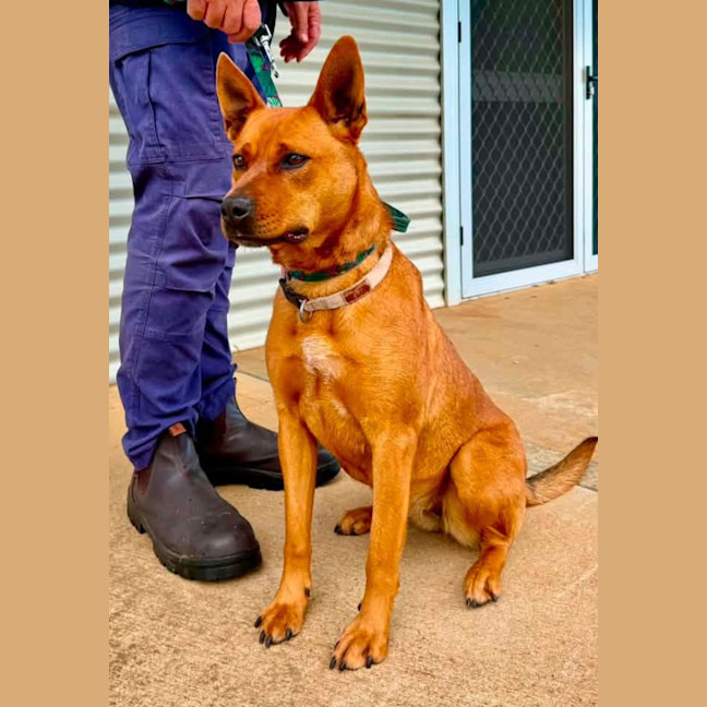 Photo of Twix 