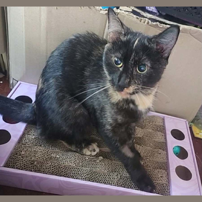 Photo of Penelope