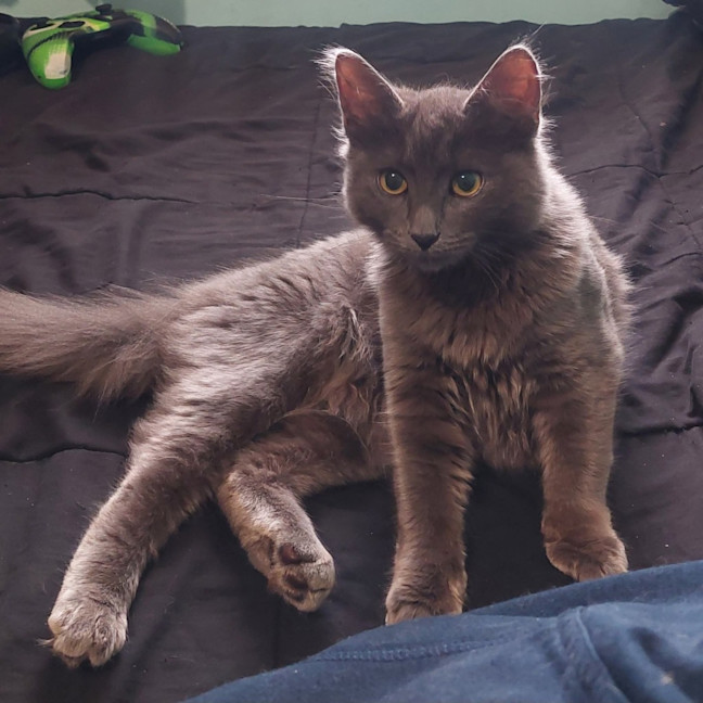 Photo of Nyla