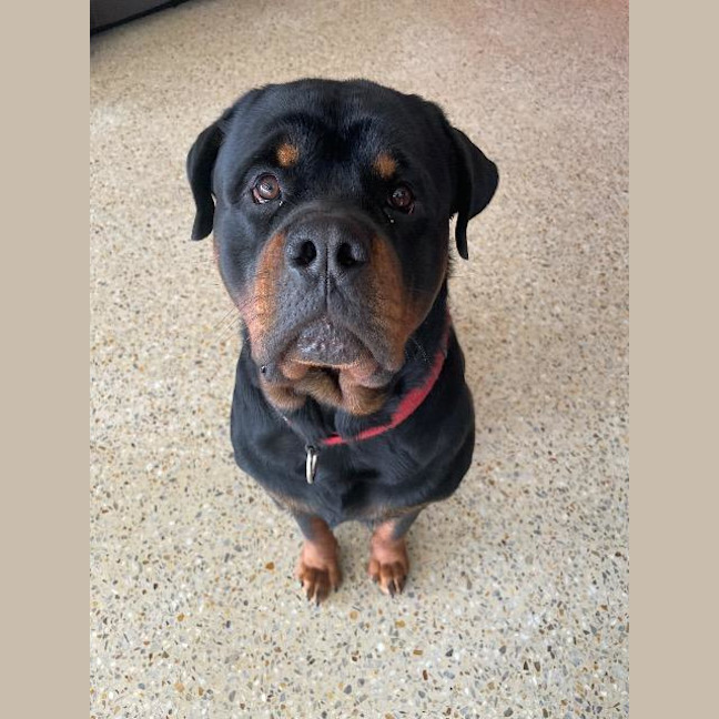 Photo of Stanley
