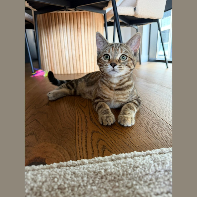 Photo of Mila
