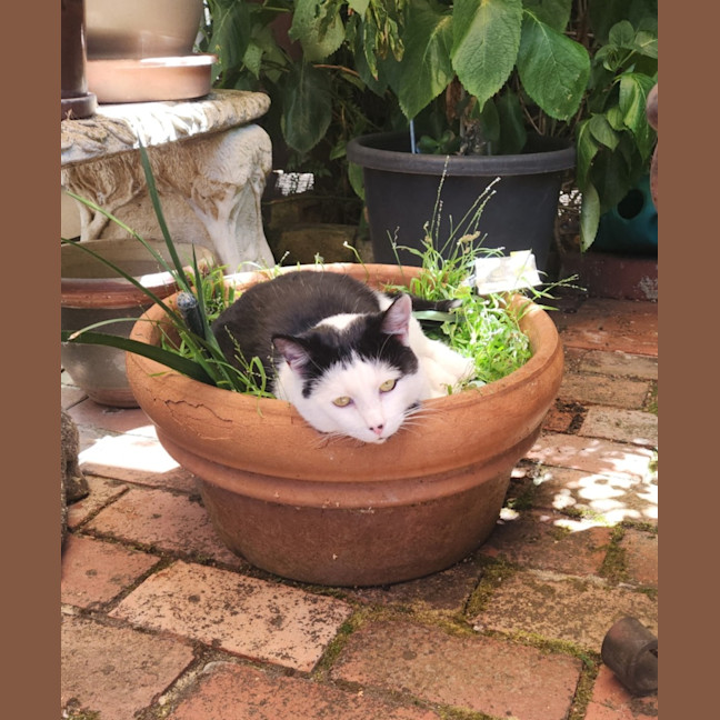 Photo of Bali & Roux