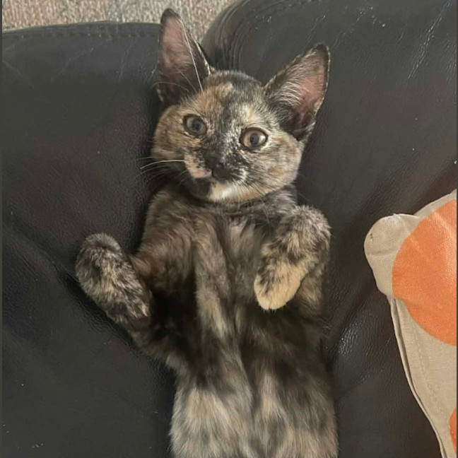 Photo of Camilla