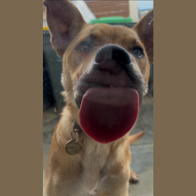 Photo of Lasso