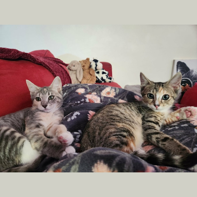 Photo of Elsie And Olive