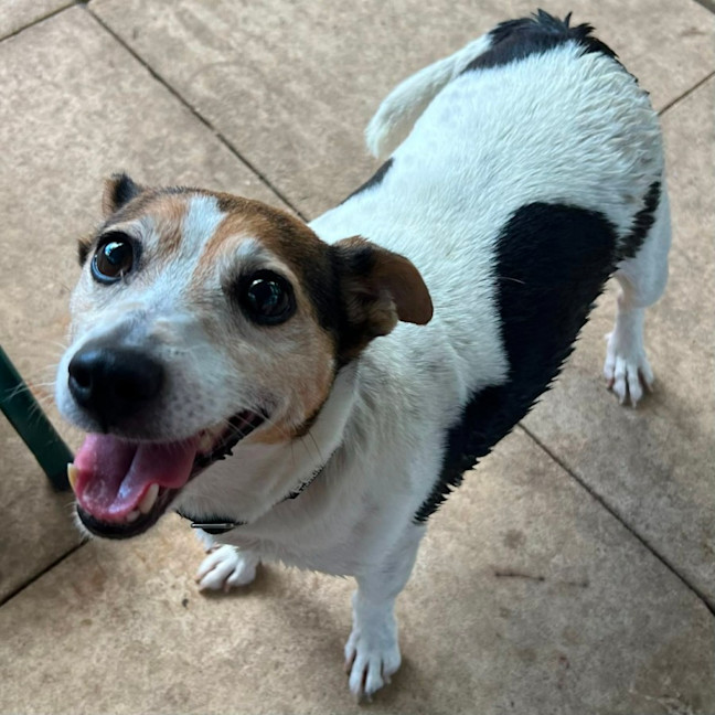 Photo of Sally