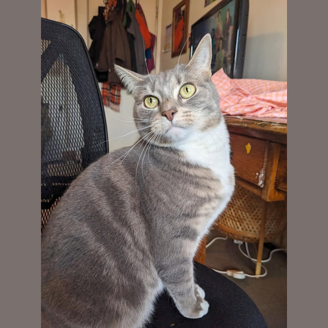 Photo of Ayaka   In Foster Care In Thornbury