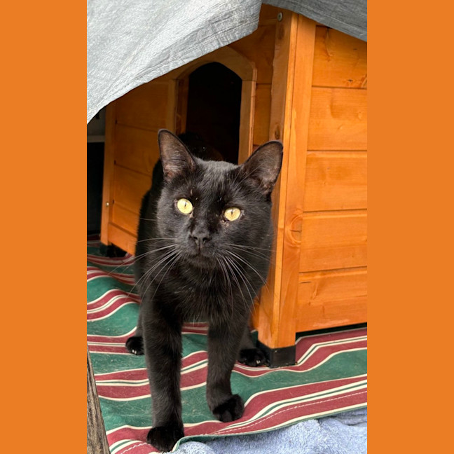 Photo of Gus