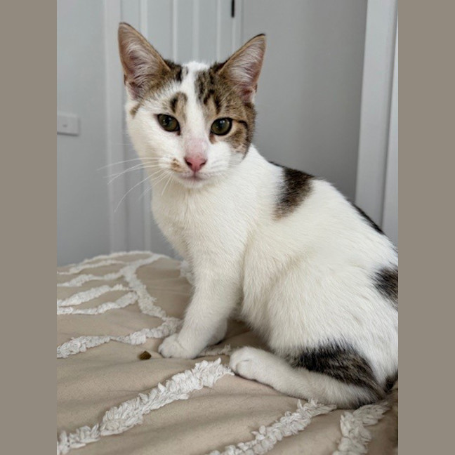 Photo of Tuna 