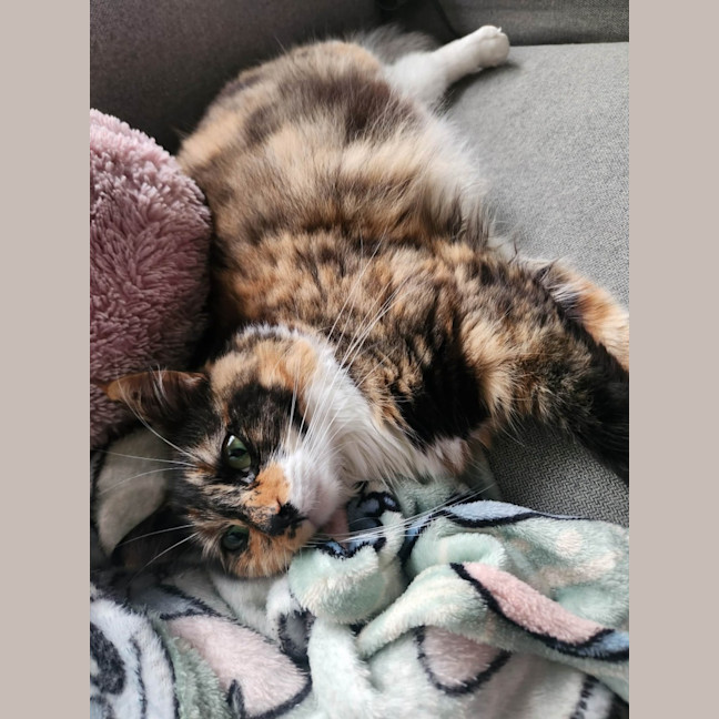 Photo of Bridget