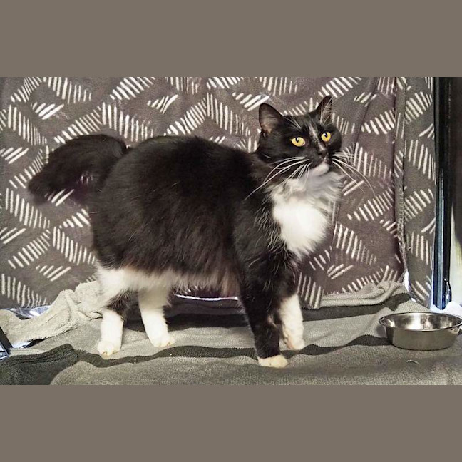 Photo of Coco