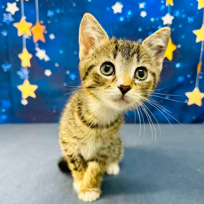 Photo of Bill   Located In Preston 