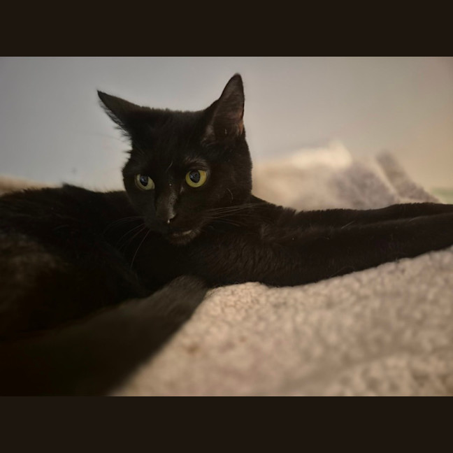 Photo of Kiki