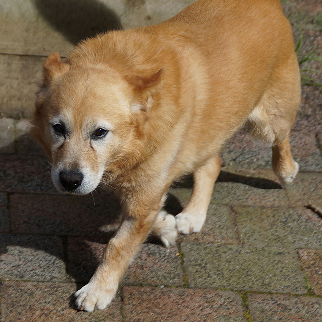 Photo of Max