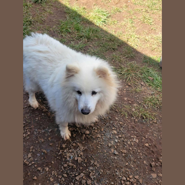 Photo of Bliss & Crystal