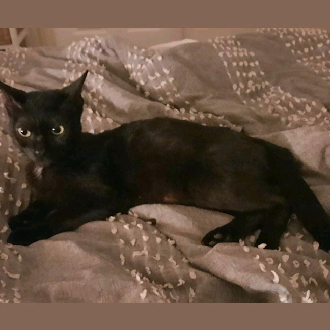 Photo of Georgie (C Mum 3)