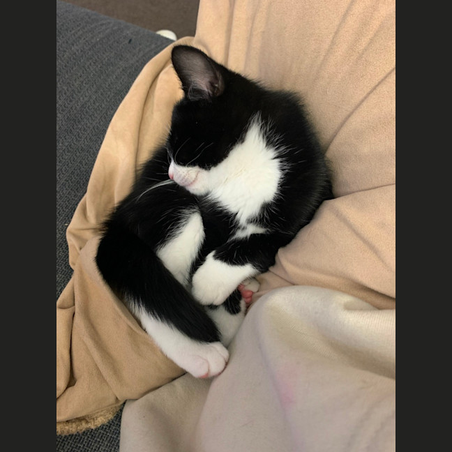 Photo of Christopher