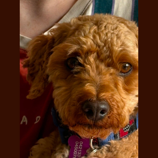 Photo of Boydie