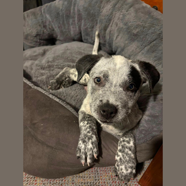 Photo of Doc