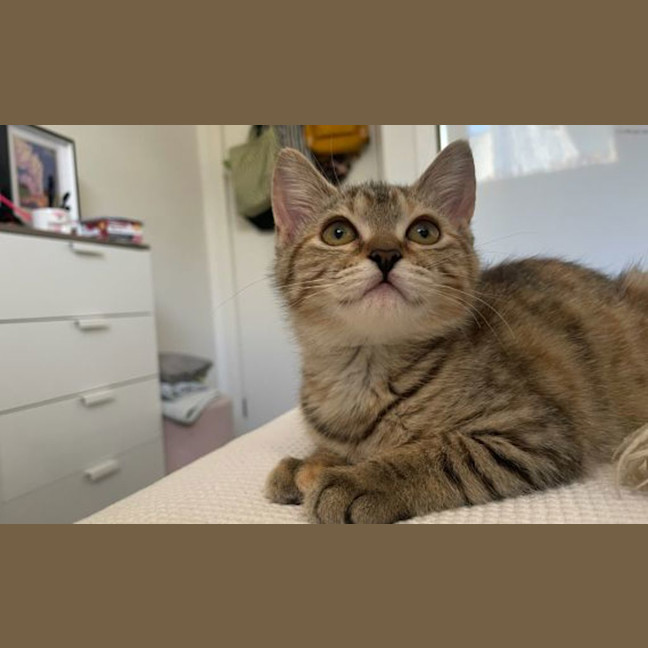 Photo of Big Sister