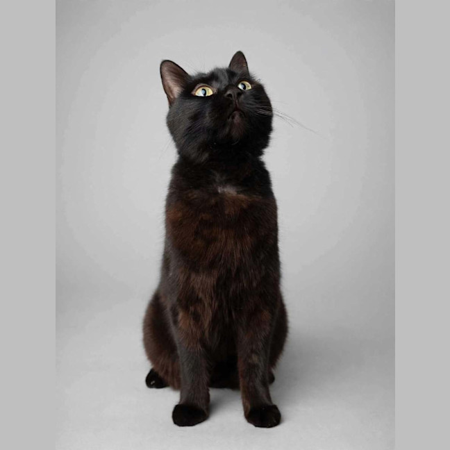 Photo of Mabel 