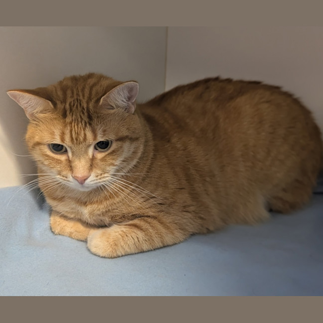 Photo of Timothy