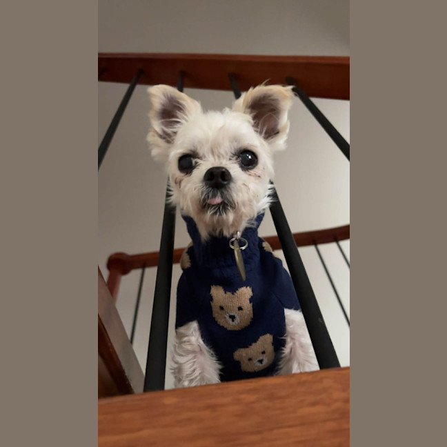 Photo of Fran Drescher