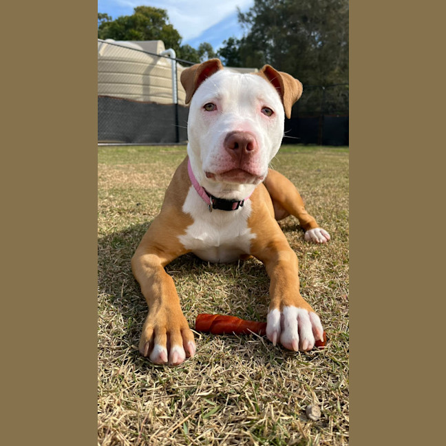 Photo of Diamond