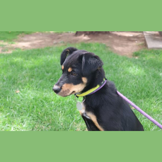 Photo of Freyja