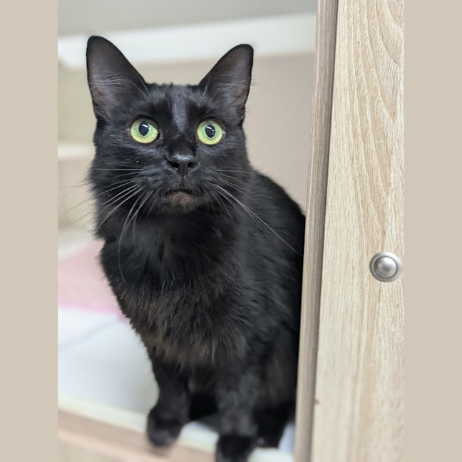 Photo of 🍓 Miriam 5923 🍓