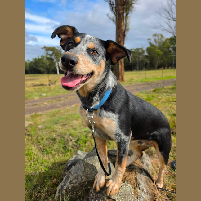 Photo of Wally