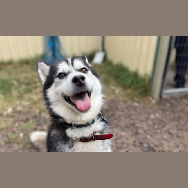 Photo of Tiny Tina