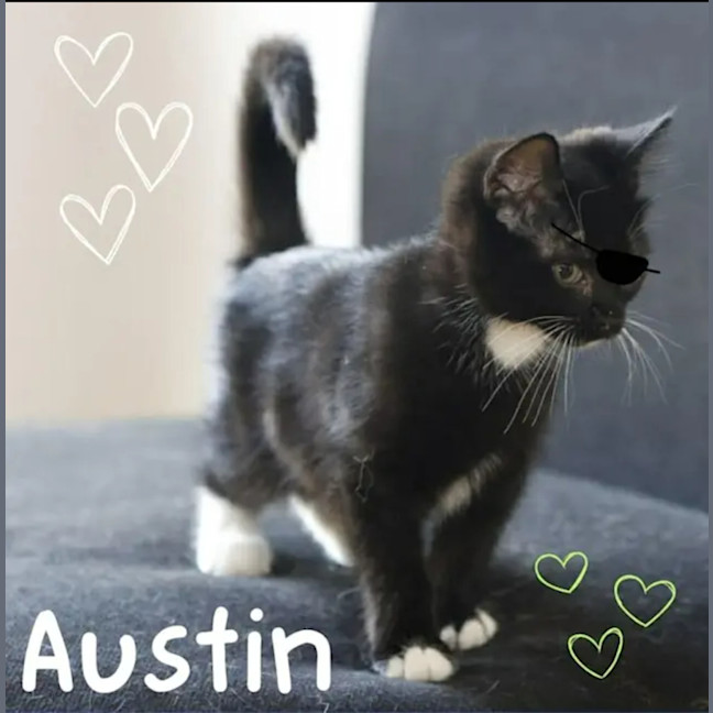 Photo of 🤍🖤David & Austin 🖤🤍