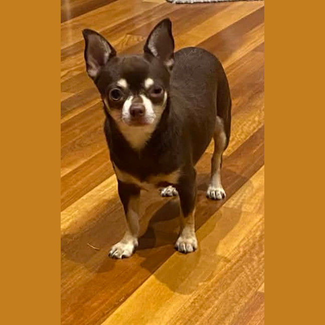 Photo of Sid