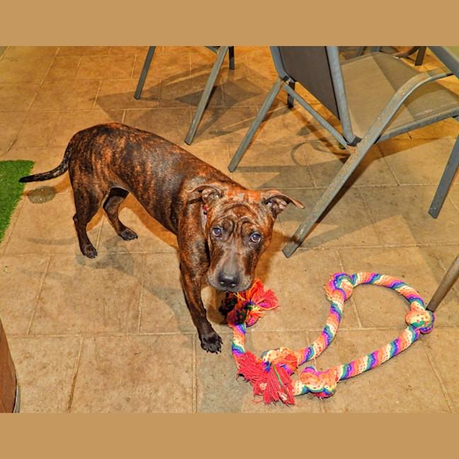 Photo of Coco Chanel