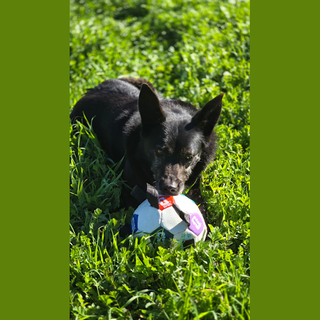 Photo of Matilda