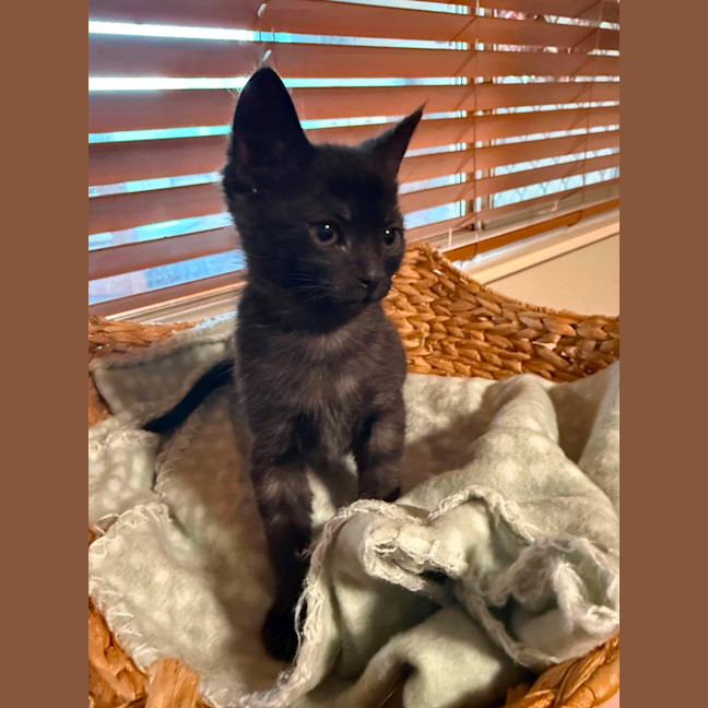 Photo of Zoom