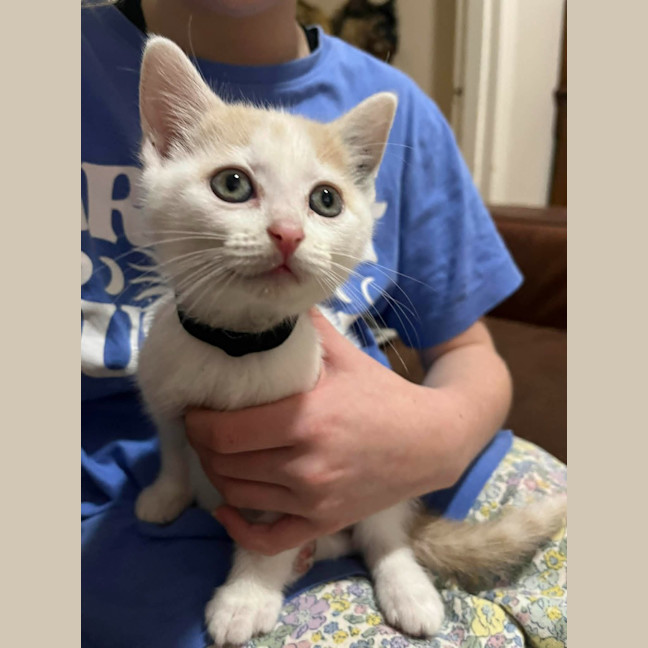 Photo of Clover