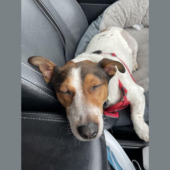 Photo of Snug