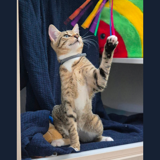 Photo of Molly (8980)