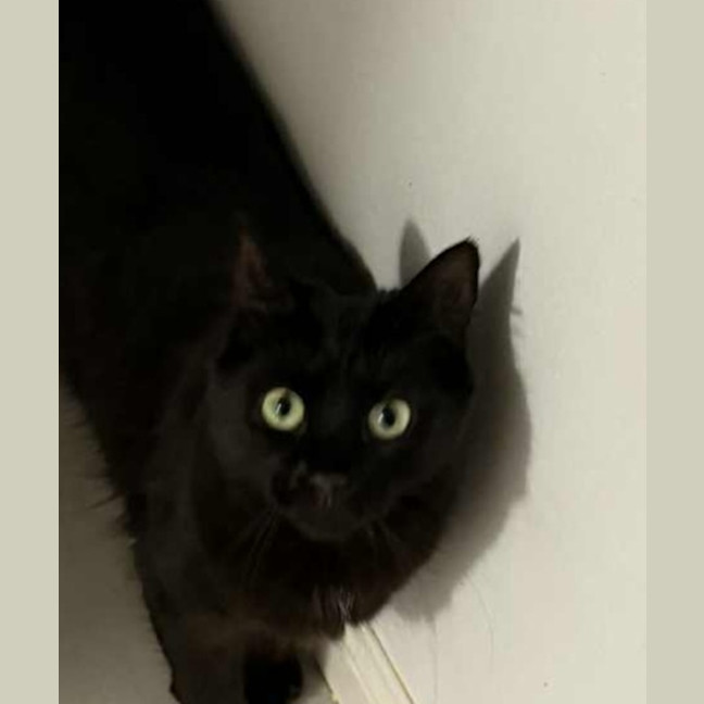 Photo of Lucy