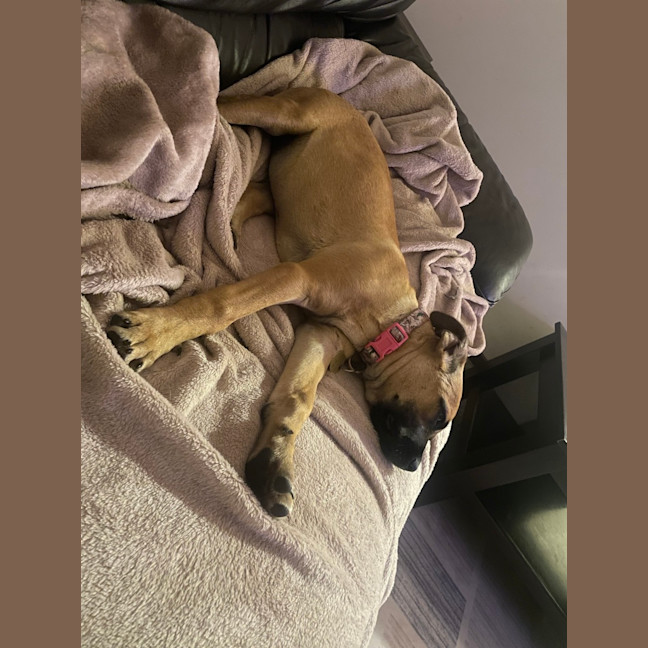 Photo of Hippolyta