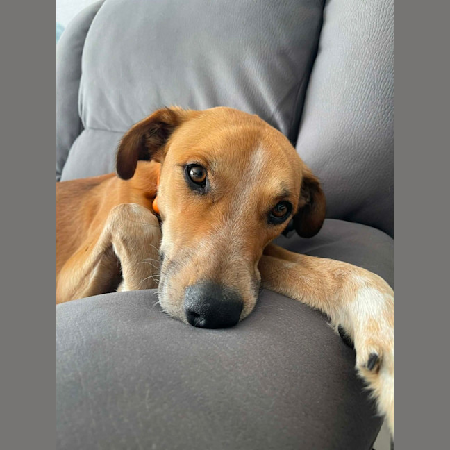 Photo of Banjo Kazooie