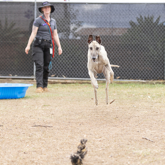 Photo of Ghost