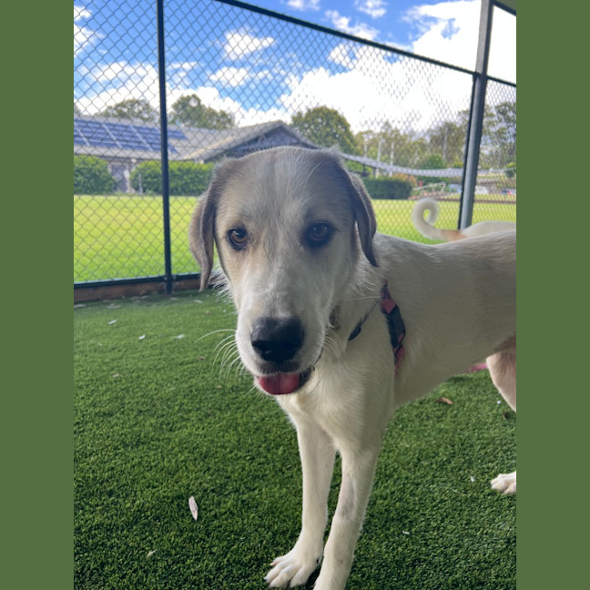 Photo of Delilah 
