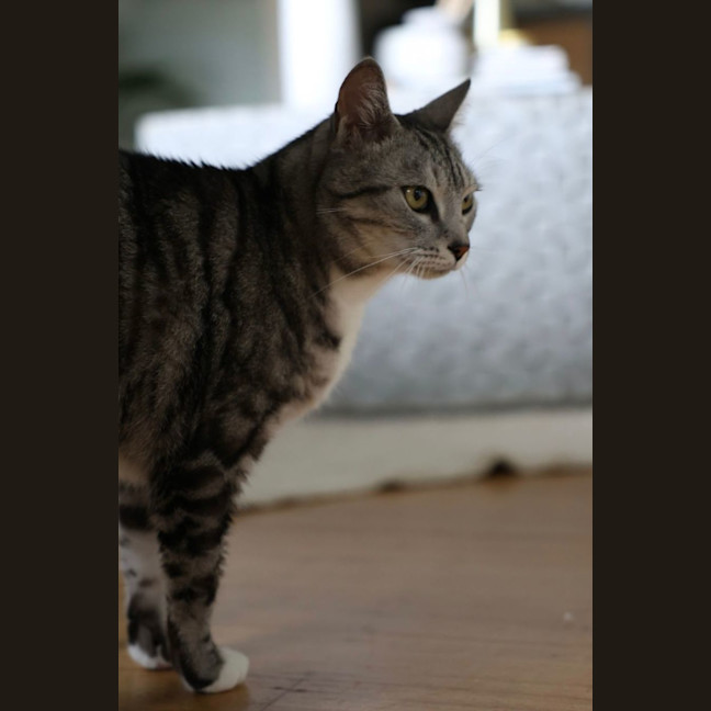 Photo of Mr. Affectionate 