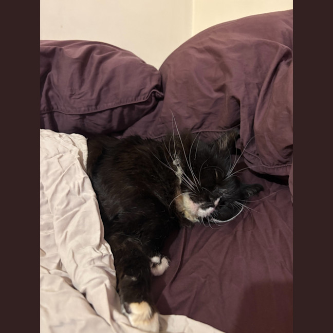 Photo of Arlo ❤️