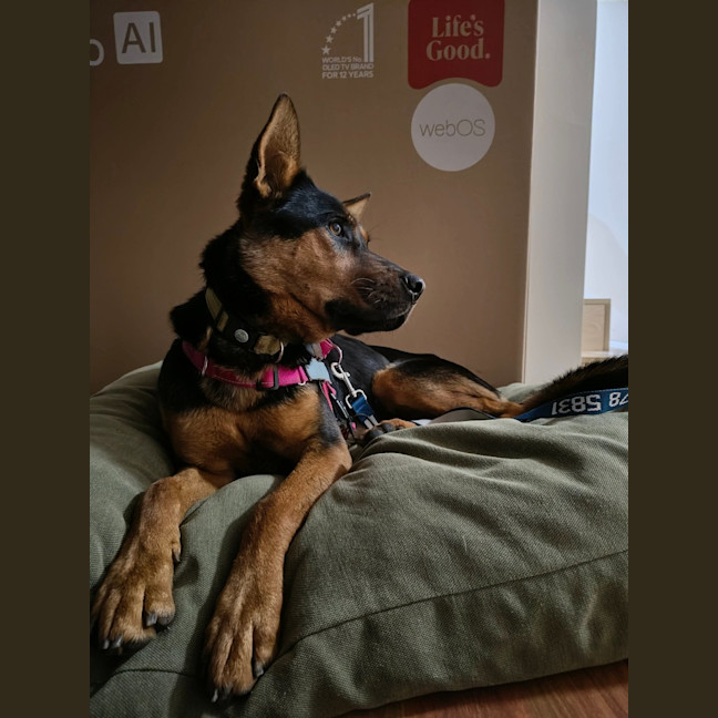 Photo of Tahlee