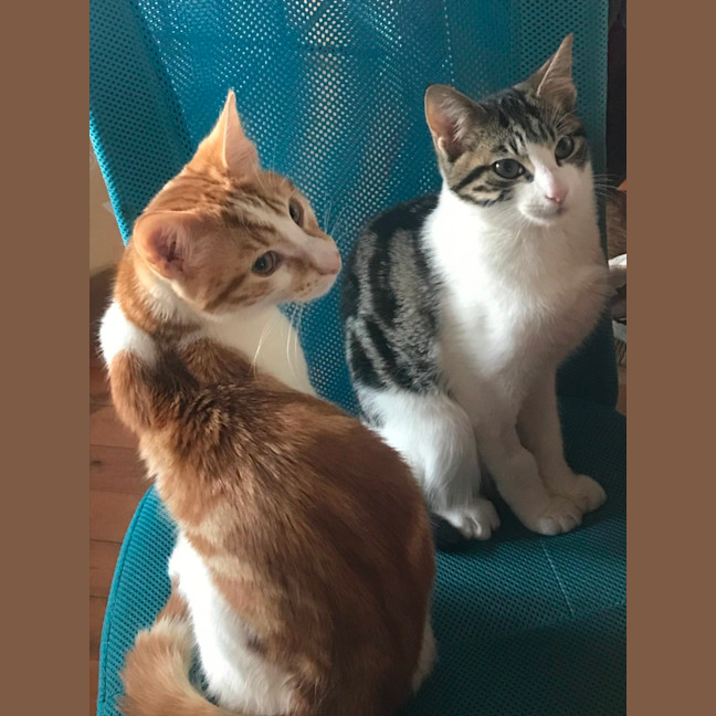 Photo of Max And Milo